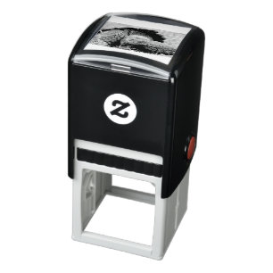 Carimbo Auto Entintado Tartaruga gigante