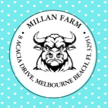 Tema Cute Angus Bull