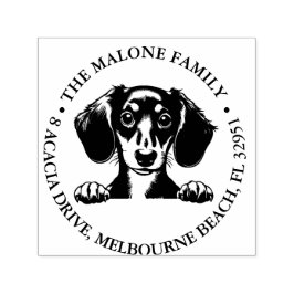 Carimbo Auto Entintado Tema Personalizado Dachshund