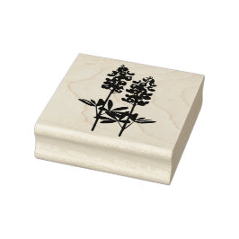 Carimbo de Arte da Borracha do Texas Hill Country