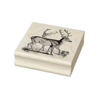 Carimbo De Arte De Borracha Vintage Com Dois Dólar