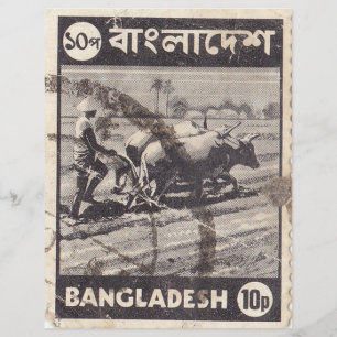 Carimbo de Bangladesh com homem e touros