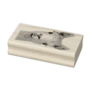 Carimbo De Borracha Alpaca Alpakka Alpaka Alpaga