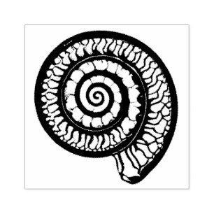 Carimbo De Borracha Ammonite Fóssil - Selo Espiral