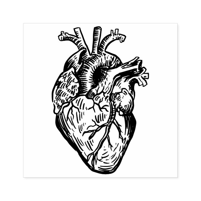 Carimbo De Borracha Anatomical Heart (Impressão)