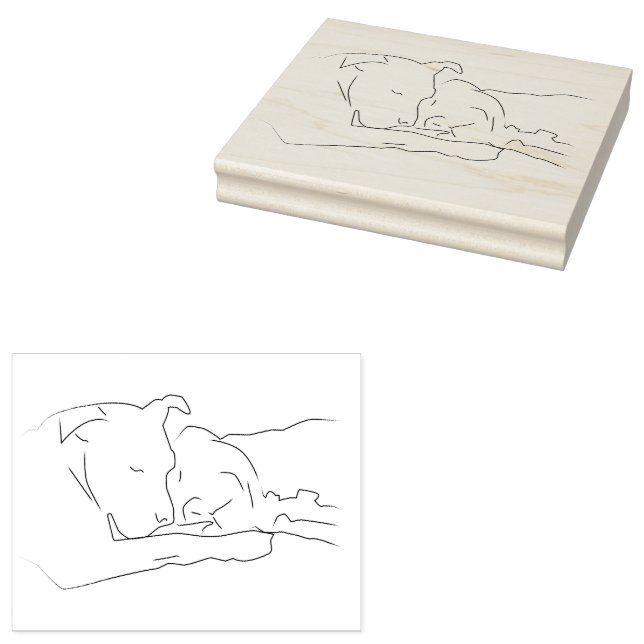 Carimbo De Borracha Apaixonado (Carimbado)