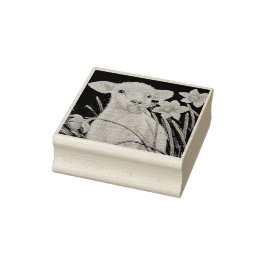 Carimbo De Borracha Baby Lamb e Primavera Daffodils