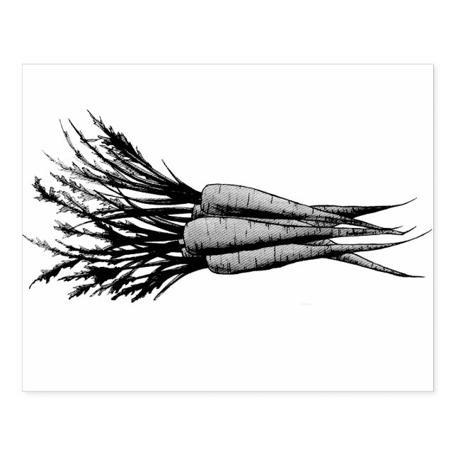 Carimbo De Borracha Bando de Carrots Orange Vegetable Veggie Garden (Impressão)