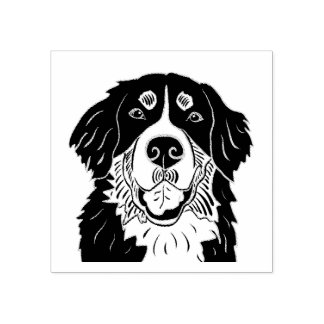 Carimbo De Borracha Bernese mountain dog stamp