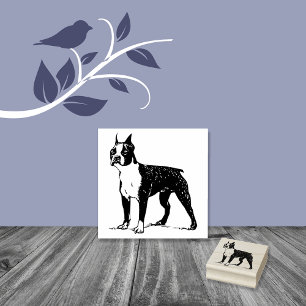 Carimbo De Borracha Boston Terrier Dog Breed