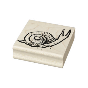 Carimbo De Borracha Caracol