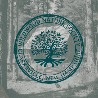 Carimbo De Borracha Carvalho Árvore Rústica Endereço de Fronteira Natu