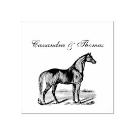 Carimbo De Borracha Cavalo Vintage em Pé