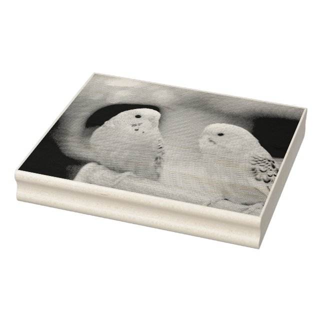 Carimbo De Borracha Chaves sérias (Carimbo)