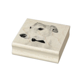 Carimbo De Borracha chicote