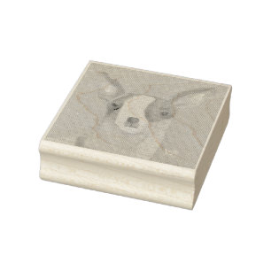 Carimbo De Borracha Chihuahua