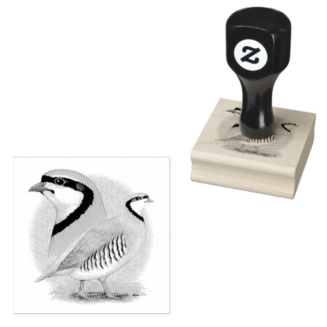 Carimbo De Borracha Chukar Partridge Combo (Carimbado)