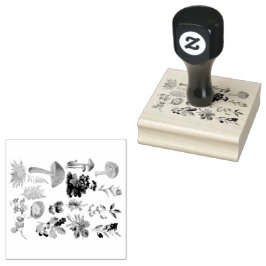 Carimbo De Borracha Cogumelos Botânicos e Vintage