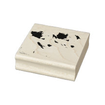 Collie Pups de Hevener