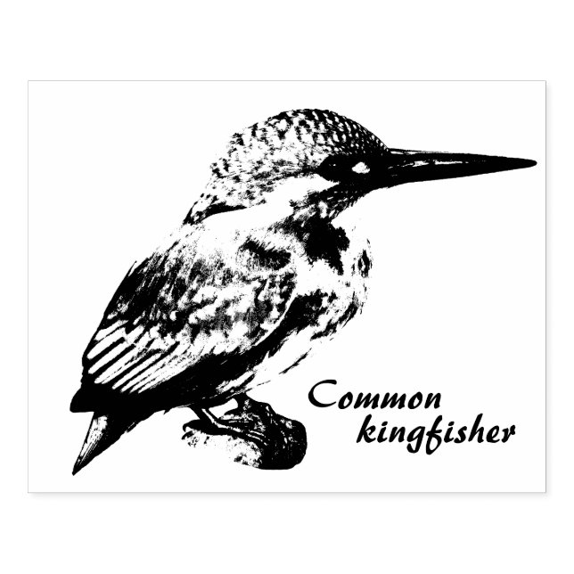 Carimbo De Borracha Common kingfisher (Impressão)