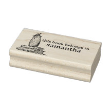 Coruja Inteligente com Livros que Este Livro Perte