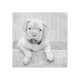 Carimbo De Borracha Custom Pet Dog Photo Rubber Personalized Stamp