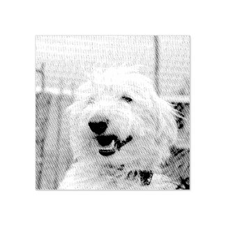 Carimbo De Borracha Custom Pet Photo Etched Style