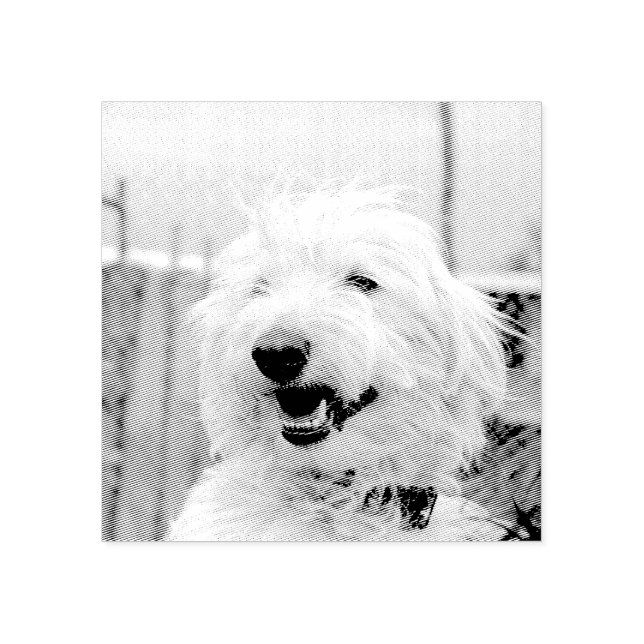 Carimbo De Borracha Custom Pet Photo Etched Style (Impressão)