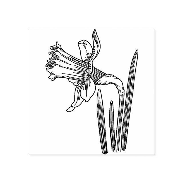 Carimbo De Borracha Daffodil Flower  Rubber stamp (Impressão)