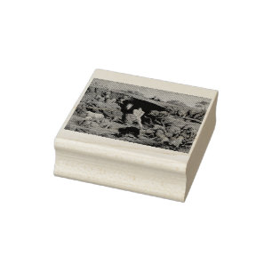 Carimbo De Borracha Daniel no Lions'Den