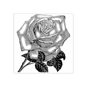 Carimbo de Borracha de Flor rosa