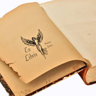 Carimbo De Borracha Desenho de Linha de Anjo