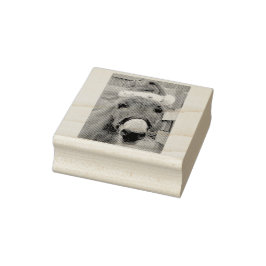 Carimbo De Borracha "Donkeys Faz Excelente Santas!"