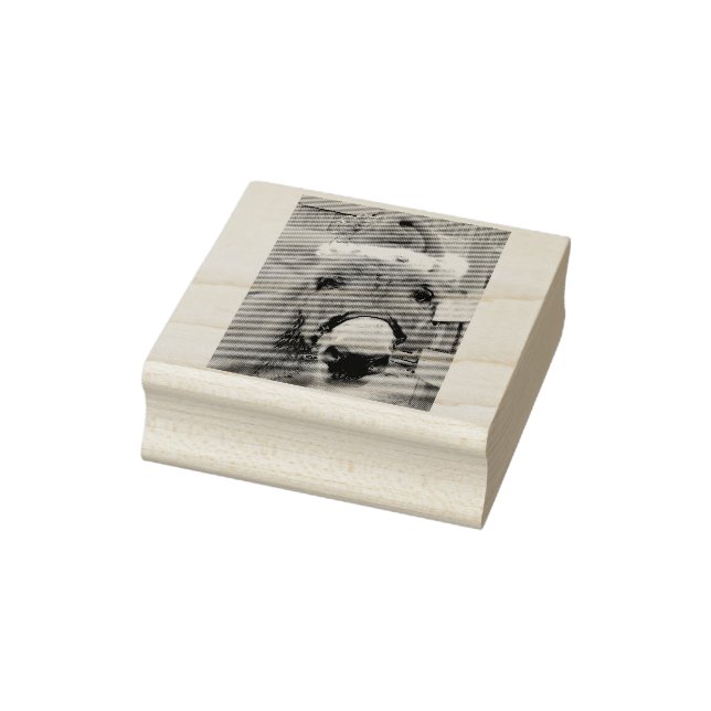 Carimbo De Borracha "Donkeys Faz Excelente Santas!" (Carimbo)