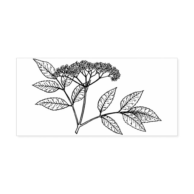 Carimbo De Borracha Elderberry plant  Rubber stamp (Impressão)