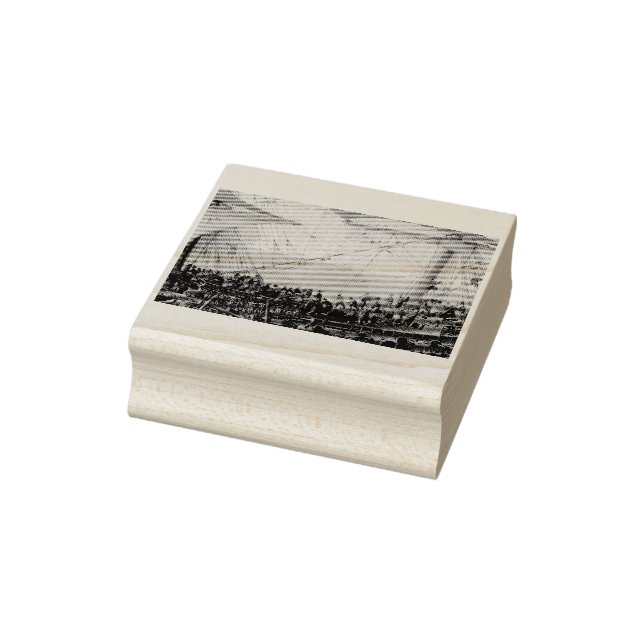 Carimbo De Borracha Embarque do Eleitor Palatina (Carimbo)