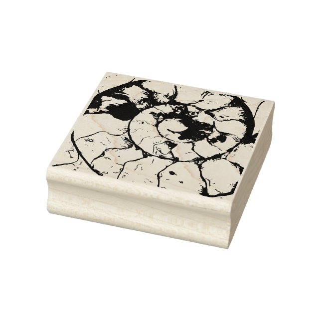 Carimbo De Borracha Espiral fóssil de Ammonite de Devonshire (Carimbo)