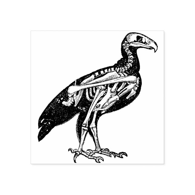 Carimbo De Borracha Esqueleto de um Pássaro (Impressão)