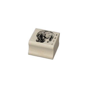 Carimbo De Borracha Etch Manatee