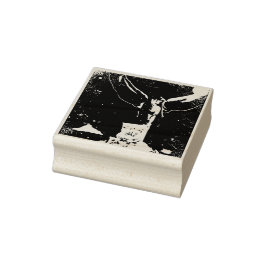 Carimbo De Borracha Fada