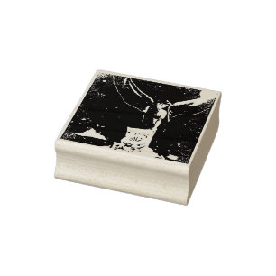 Carimbo De Borracha Fada