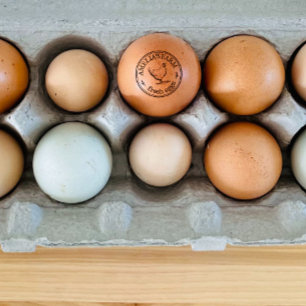 Carimbo De Borracha Farmhouse Hen Logotipo Personalizado Ovos Orgânic