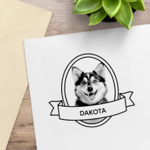 Fita de Nome e Foto de Cão de Pet Personalizado Ov