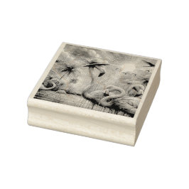 Carimbo De Borracha Flamingos Rosa Tropicais Palmeiras Palmeiras Teais