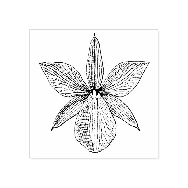 Carimbo De Borracha Flor Orquídeo Flor Tropical Hawaii Botânica (Impressão)
