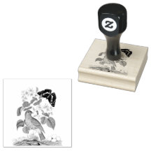 Flycatcher Bird Butterfly Vintage Scrapboobooboobo