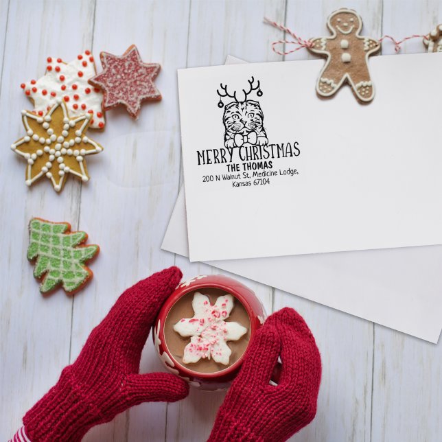 Carimbo De Borracha Fold Cat de Natal Endereço para devolução (Criador carregado)