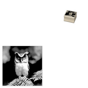 Carimbo De Borracha "Frieda the Screech Owl: A Nocturnal Beauty"