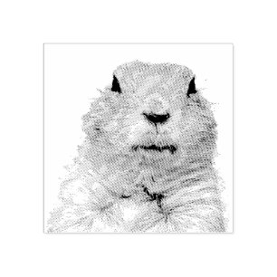 Carimbo De Borracha Funny Ground Woodchuck