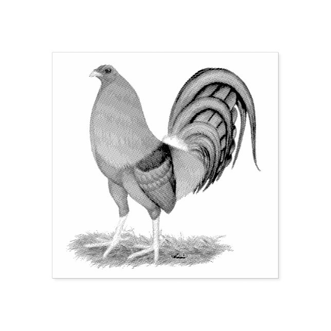 Carimbo De Borracha Galo Vermelho Azul Gamecock (Impressão)